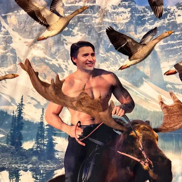 Shelfies Moosin' Trudeau Sweater Canadian Novelty Sweatshirt Sz L - Picture 3 of 9